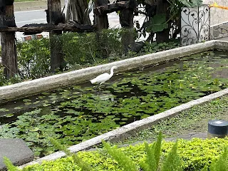  不要小看這一點點，正因為一點點的前進才不會一發生什麼事就崩盤。就如同逐漸累積經驗值的冒險者，就算被全滅而重來，也不會是從等級一開始，最多僅付出一些金錢或經驗值而已，這不僅僅只是角色扮演遊戲的規則，也可以適用在人生規則裡。哪怕只是前進一點點，也不要輕易放棄，這樣才能逐漸建立起自己的信心。