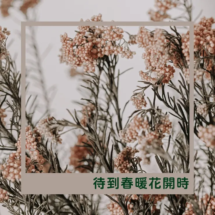 長輩圖計畫的起點