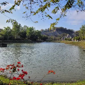 流水牌翻譯機的沙龍