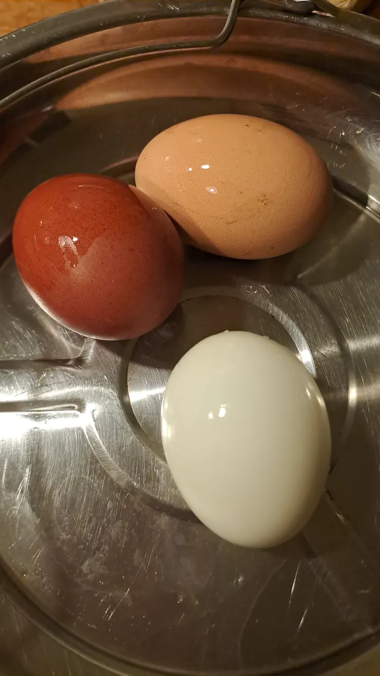 光滑的水煮蛋