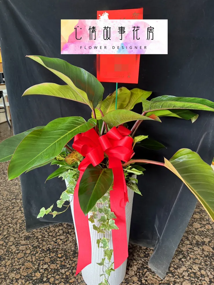 台南最大送禮花店|公家單位、銀行、各大機關都愛用的心情故事花房