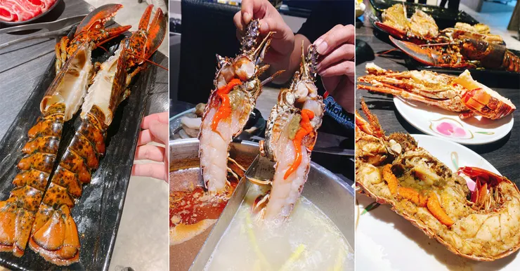 桃園林口火鍋吃到飽推薦-魔椒頂級鴛鴦鍋-林口店