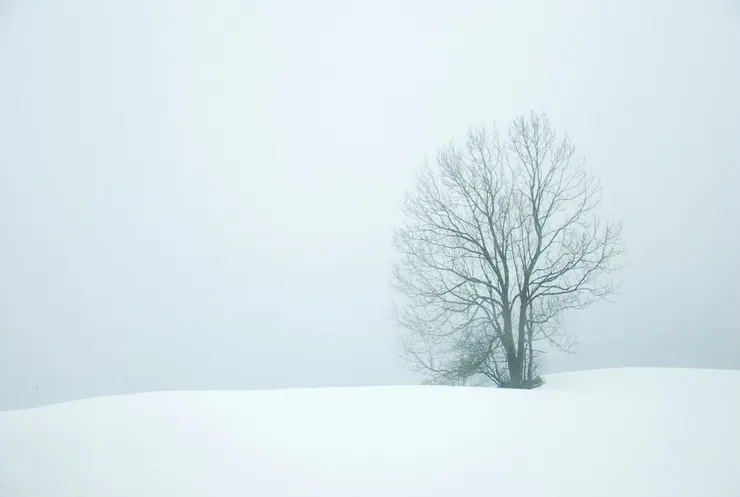  Alexandra Diaconu / Unsplash