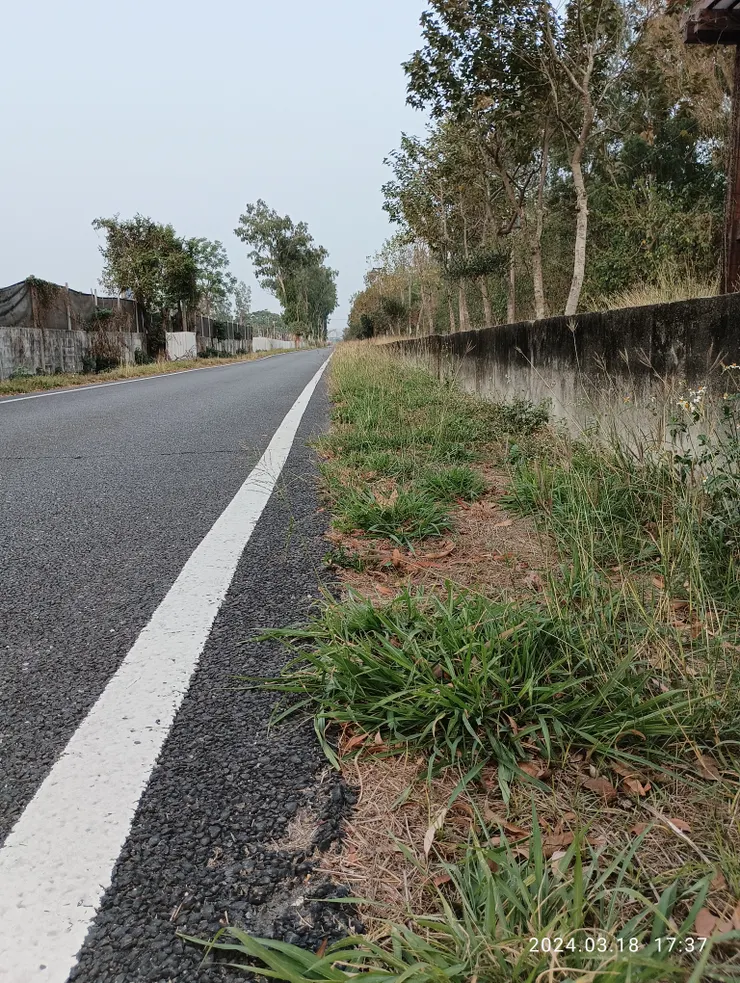 青出路途外