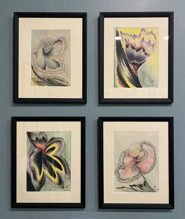 Aleksandra Ionowa, Flower (Naytekukka), 1947-48