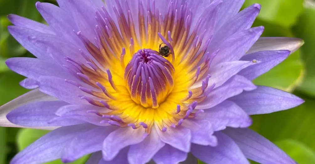 蘇千尋的讀書筆記