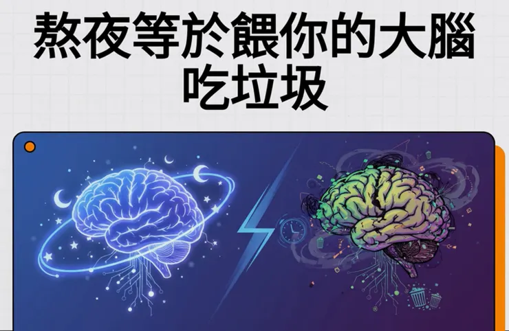 熬夜等於餵大腦吃屎