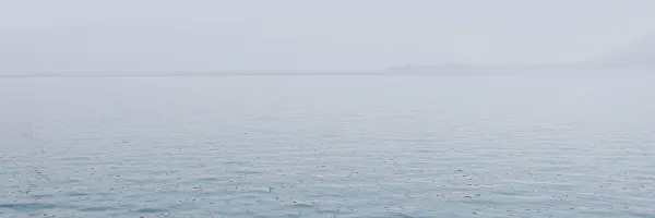 顯化實驗ｘ占星覺察