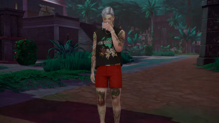 之前第一次探險的時候不小心中毒中斷探險之後，讓維圖斯去解毒的時候就多買了幾個解毒藥水