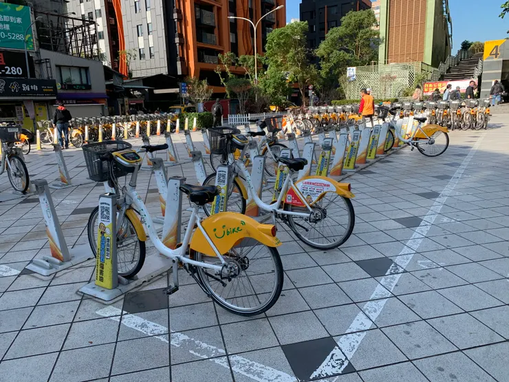 好多陸行鳥，哎呦…有很多已經逃家？