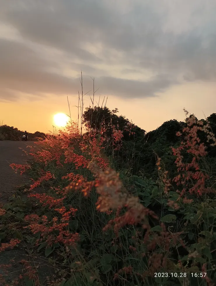 日鼓月琴耀太虛，自拍攝