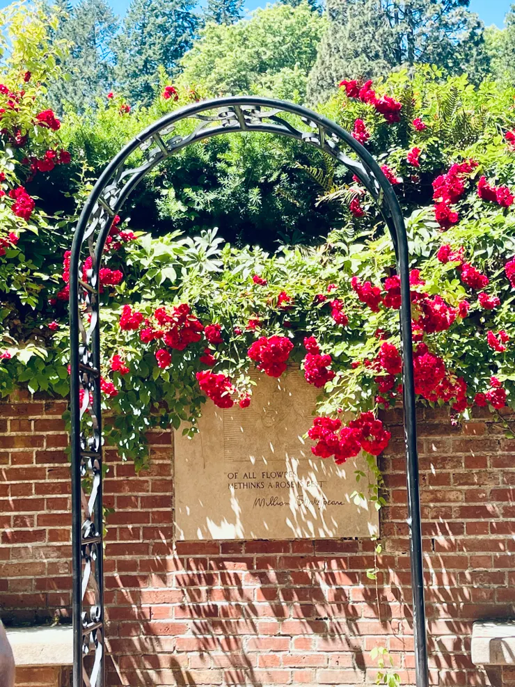 ▲OF ALL FLOWERS METHINKS A ROSE IS BEST BY William Shakespeare