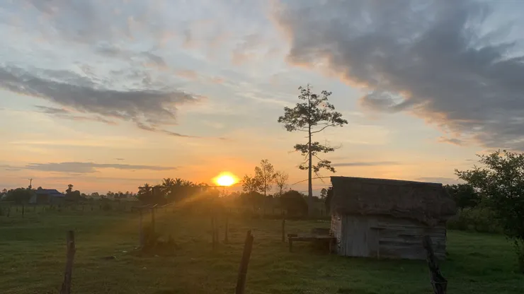 拍摄于今天教會大门外清晨