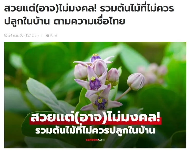 【原文】Sanook – สวยแต่(อาจ)ไม่มงคล! รวมต้นไม้ที่ไม่ควรปลูกในบ้าน ตามความเชื่อไทย