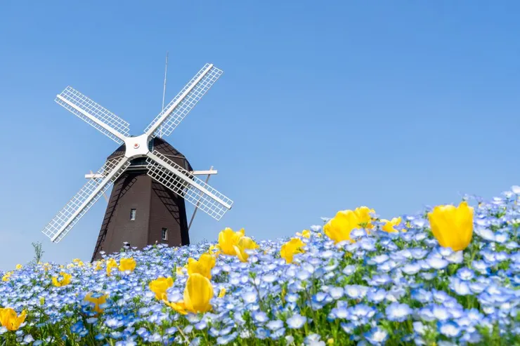 Source：Shutterstock