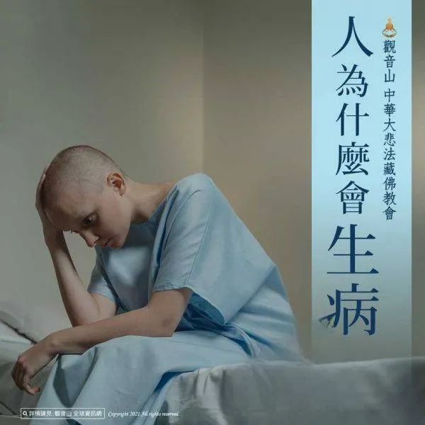 認識添壽方法