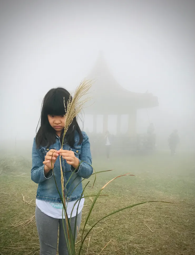 霧中的「五分山瞭望亭」