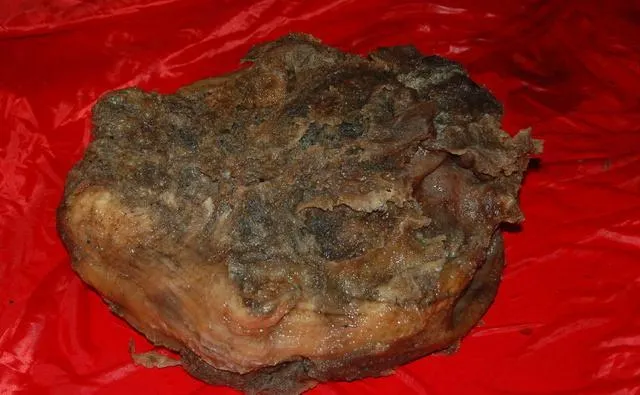 《本草綱目》稱太歲為「封」，並記載了歷代人們都曾遭遇這莫可名之的肉團，可以吃，且對身體有莫大助益。(圖片出自網路)