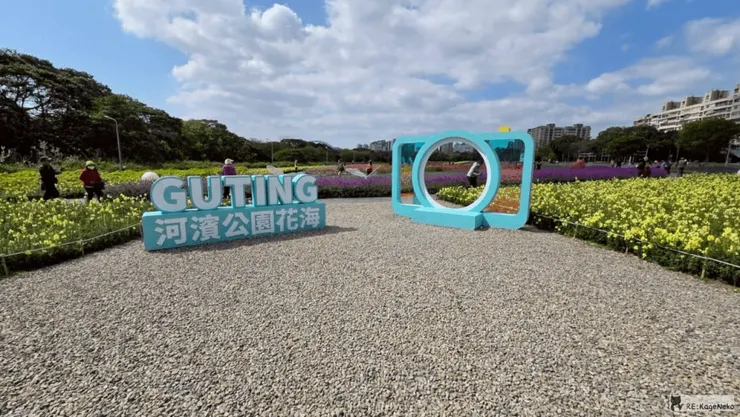 河濱公園花海