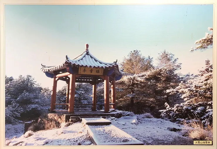 ▲台中「大雪山國家森林遊樂區」/圖片來源：Betty's Jump Diary