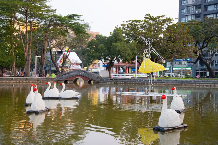 水上芭蕾白天鵝，白天就很有意境