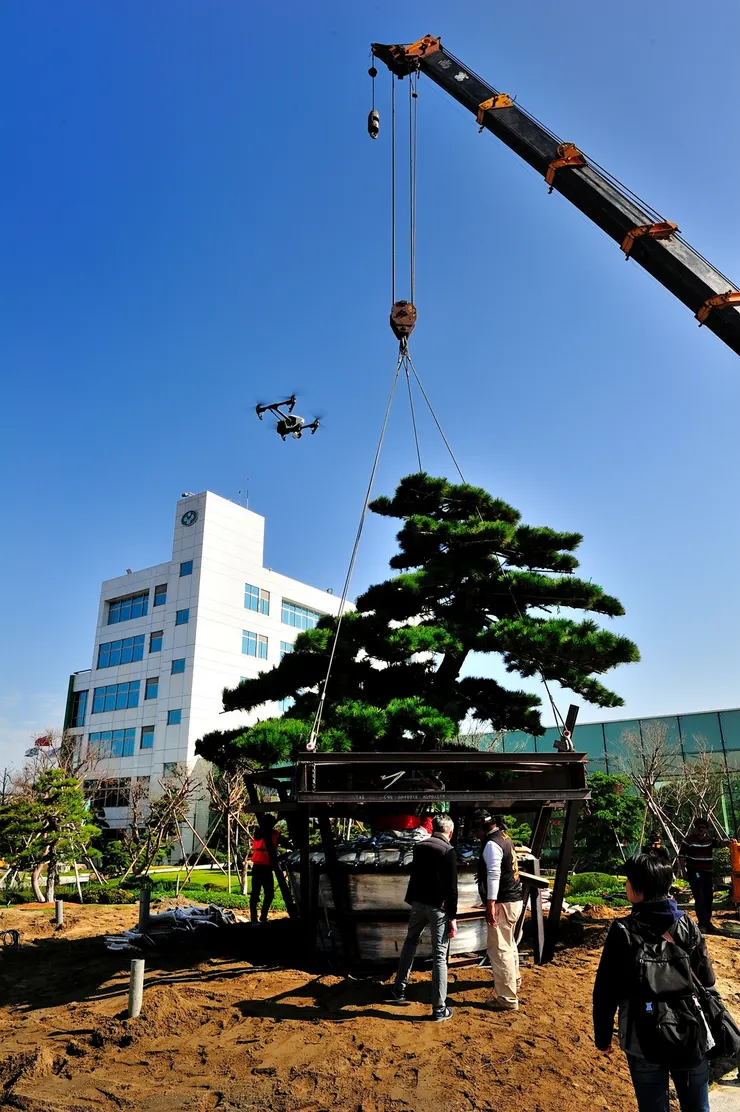二零一六即曾造訪成美文化園，喜逢兩百年日本黑松入門盛典。園方也用空拍機全記錄！2016年攝