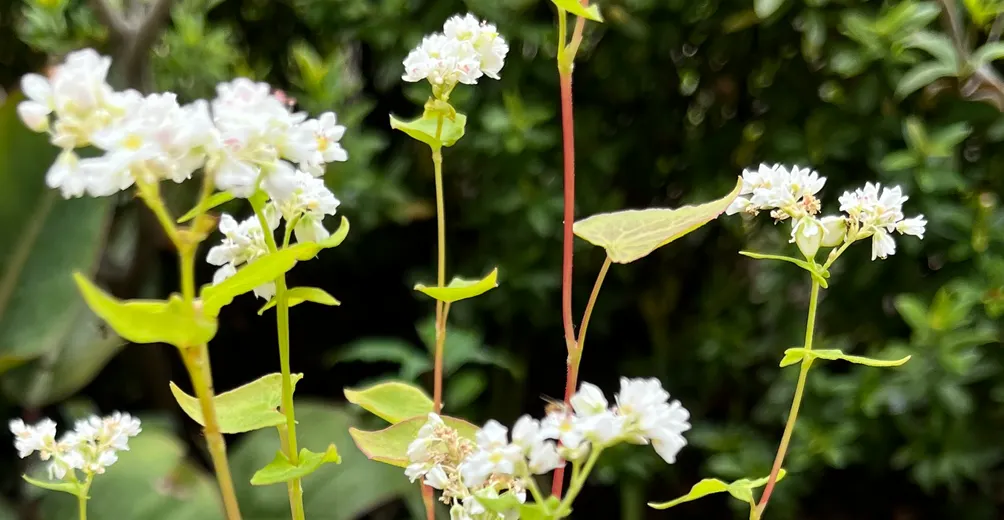 記錄人生-留下走過人生的紀錄