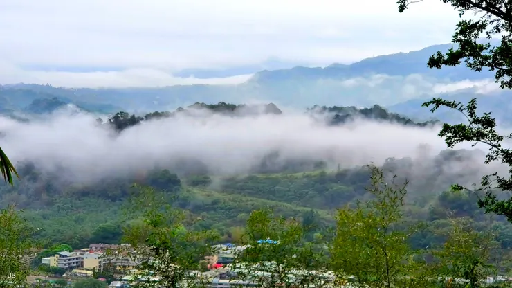 【新綠參差雨乍停遠眺連峰生雲海】