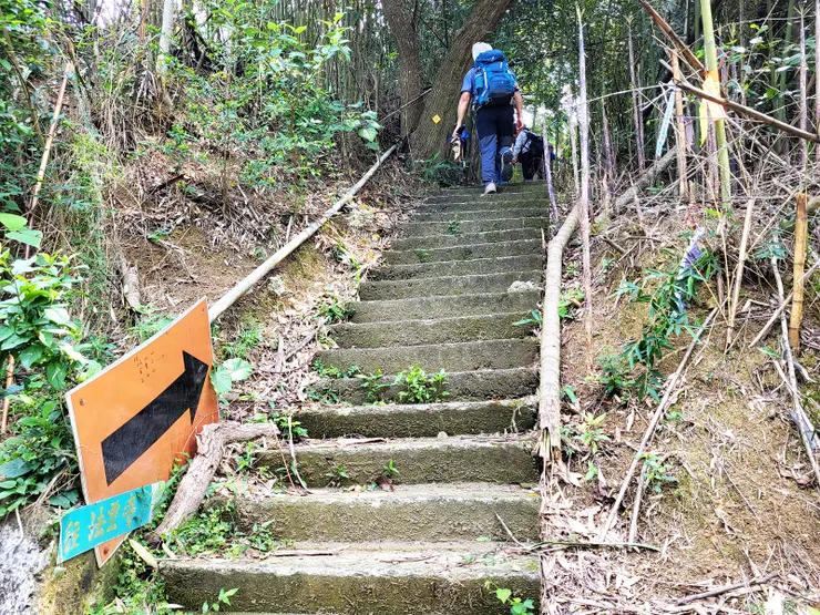 ▲步行一段產業道路後依指標右上石階步道