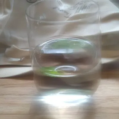 幹話姐的貓文青的沙龍