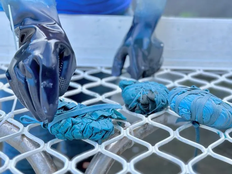 台灣有不少地區有提供藍染讓民眾體驗