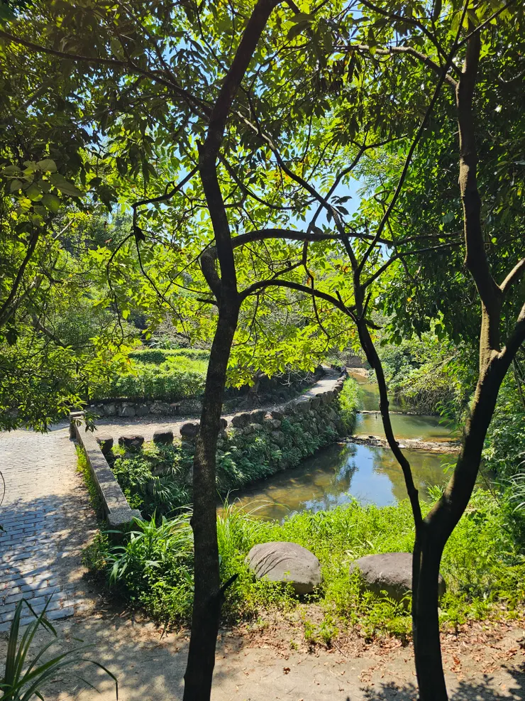 沿途的綠蔭大道