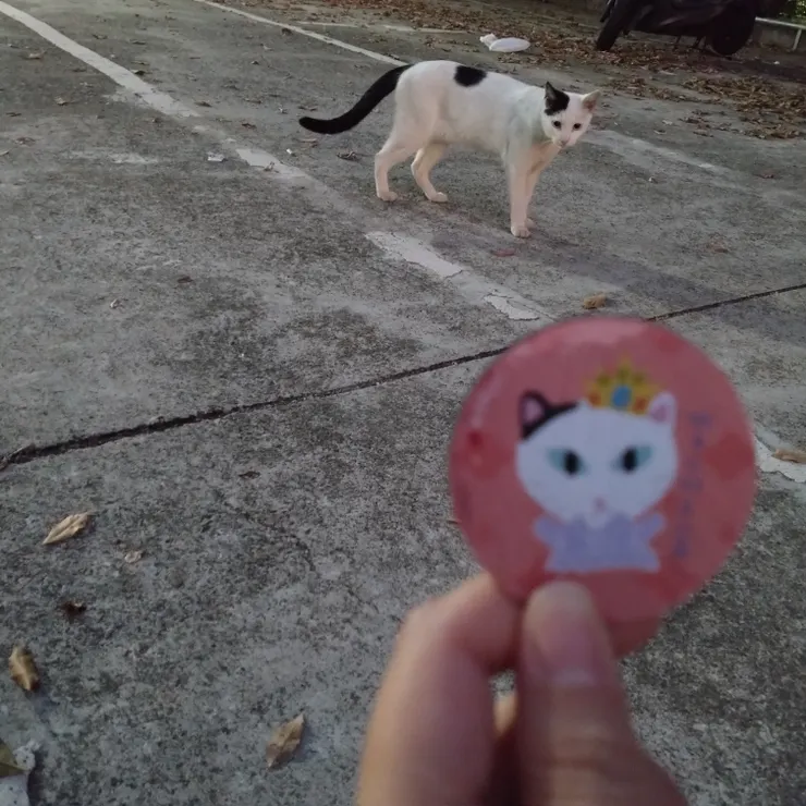 不受控制的原型貓貓