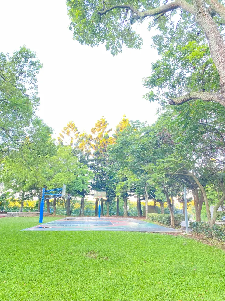 對面公園的籃球場