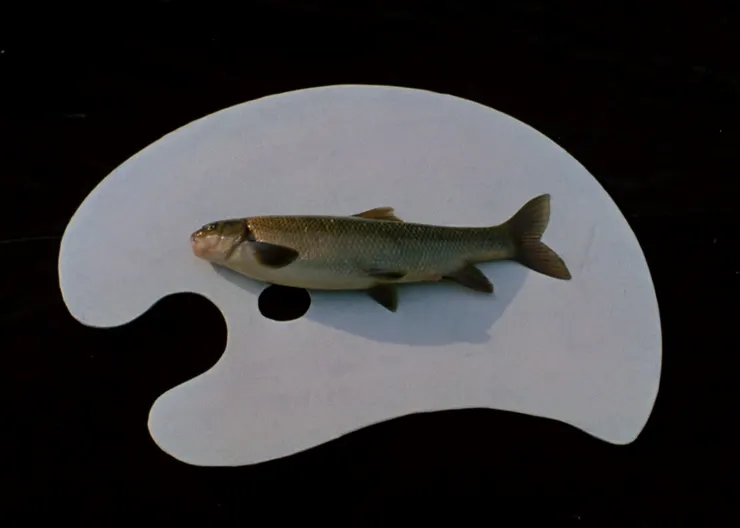 Arabesques on the Pirosmani Theme (1985)