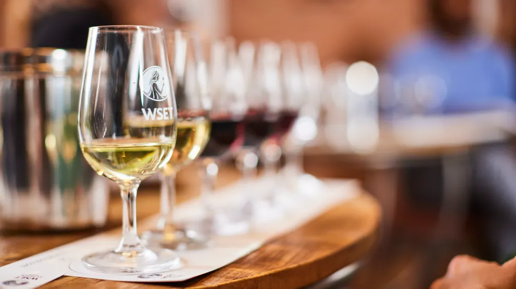 牧羊犬的東南亞漫遊