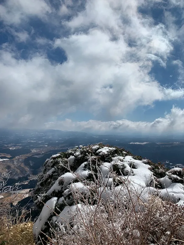 路旁林相已從高木轉為矮樹