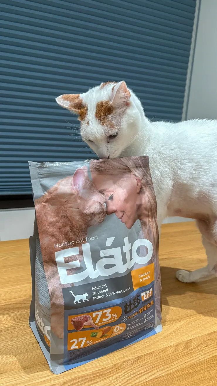 糯米：這是什麼？好香啊