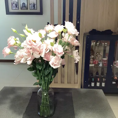 《敘事給我的禮物》