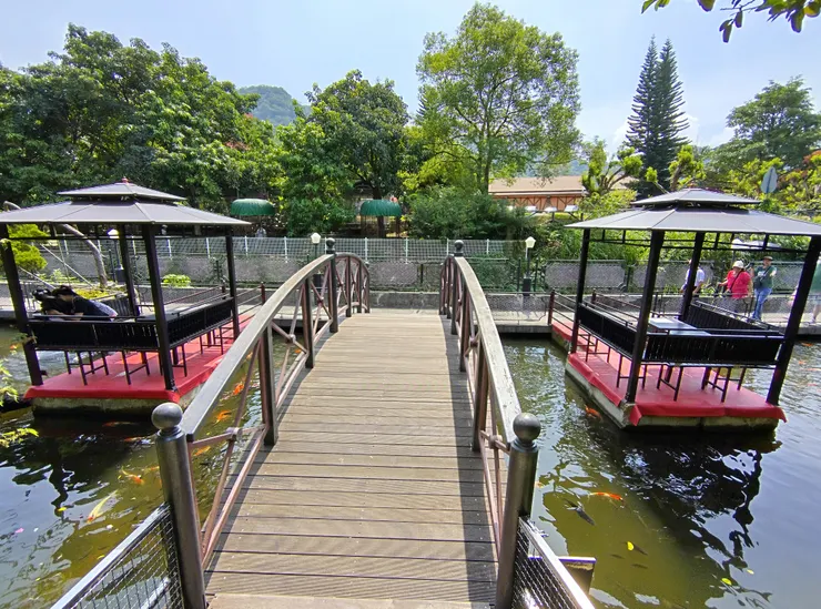 餵魚區，要小心黑天鵝