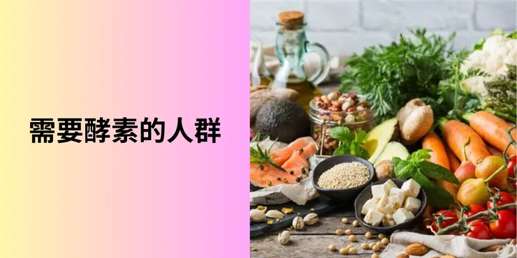 需要酵素的人群