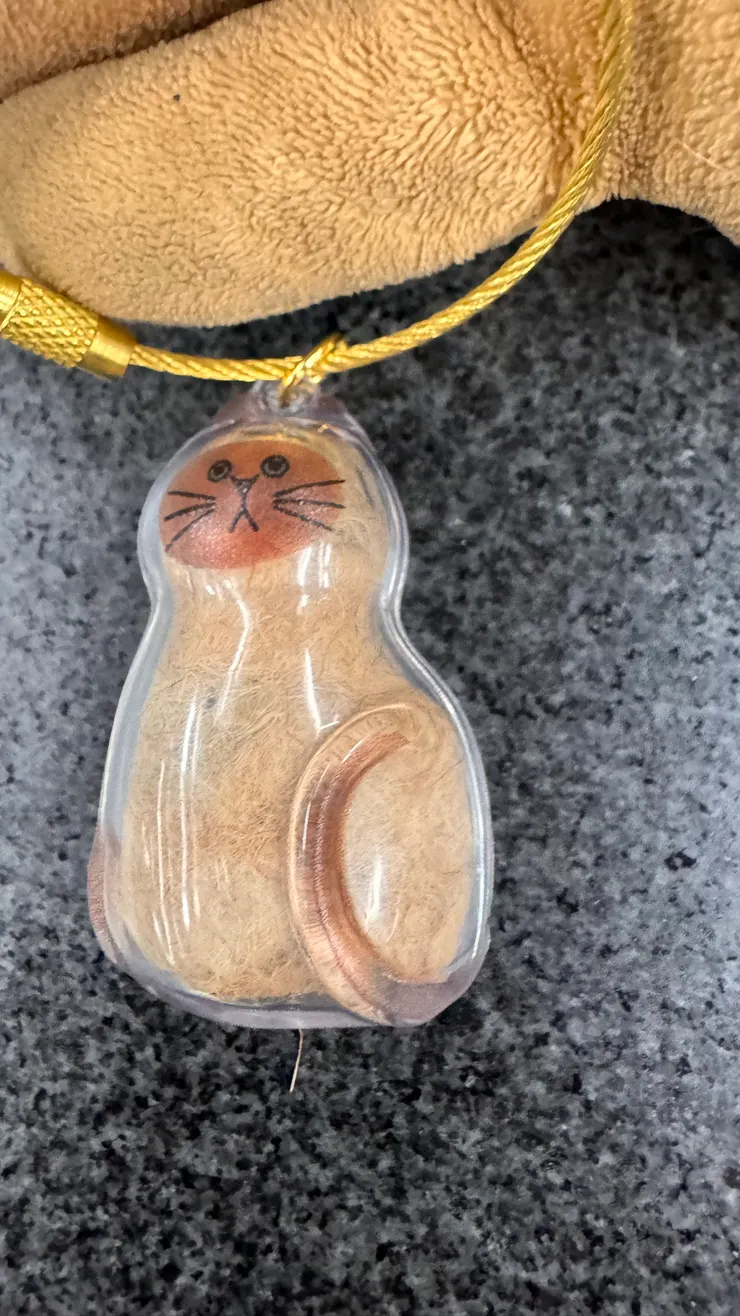 用已故布瓦的毛做成的鑰匙圈