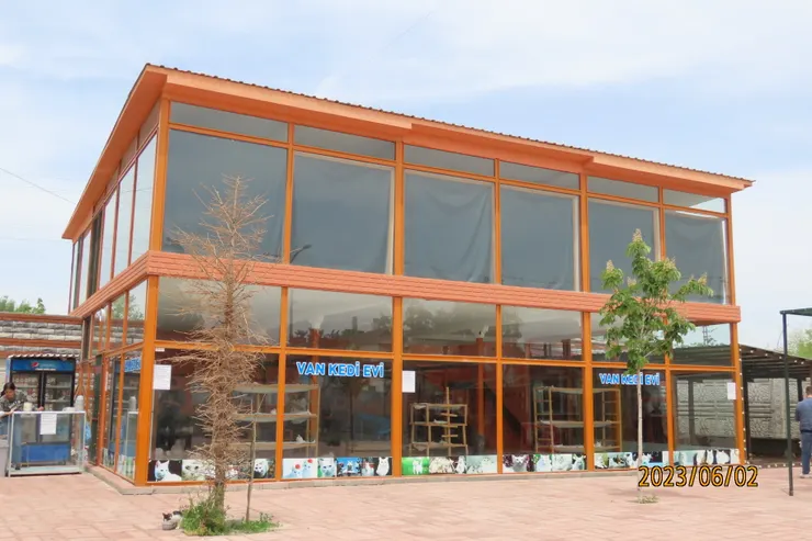 圖五: Van Kedi Evi (Van Cat House) 是一間兩層的玻璃屋。 