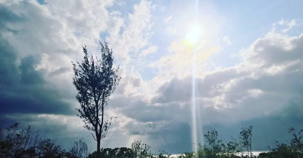 91の聊天室