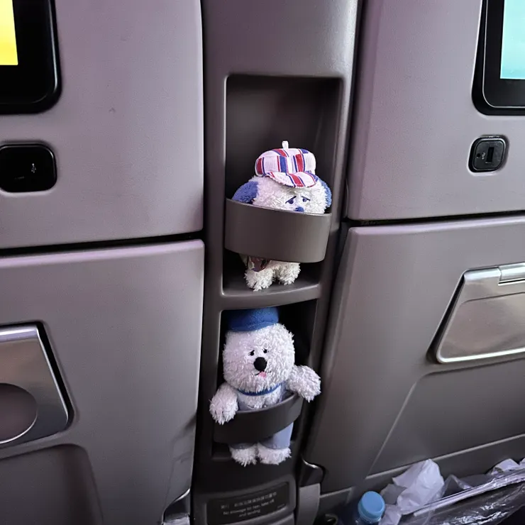 華航豪經艙分享可以搜尋別人專業照片，我就不獻醜。放瓶裝水的位置被我拿來塞玩偶，理工男很無奈。