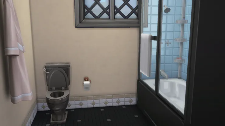 灰色的馬桶和黑色磁磚的地面大家見過沒有？可能髒了也較難看得出。