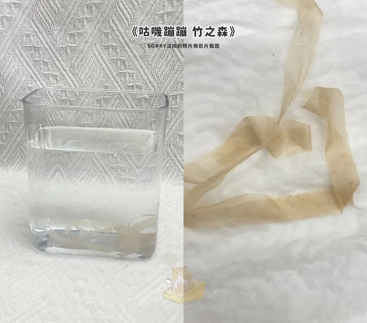 《咕嘰蹦蹦 竹之森》評測