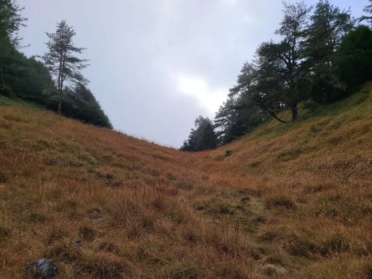天氣爛，又飄小雨了