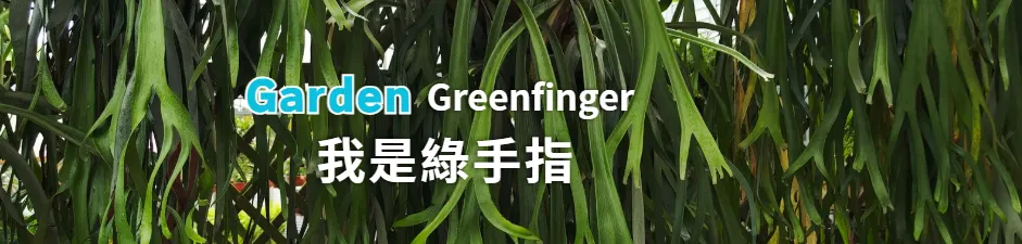 田尾綠手指花園🌿 GreenFinger @Garden