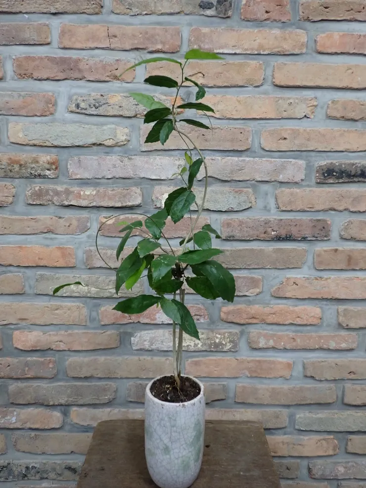 淡水社大114.03.18